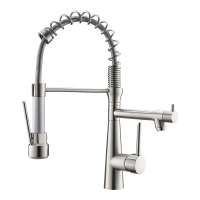 Modern Stainless Steel Single Handle Pull-Down Spring Brushed Nickel Kitchen Faucet, Kitchen Sink Faucet with Sprayer