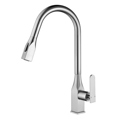 Pull Out Single Handle Kitchen Taps Brass Chrome Kitchen Faucet With Potable Water Connection