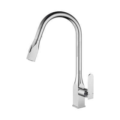 China Supplies Brass Kitchen Sink Faucets Pull Out Extended Design For Sale